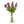 Load image into Gallery viewer, Tulip Bunches

