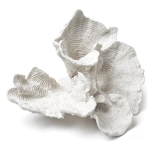 Large Floral Coral