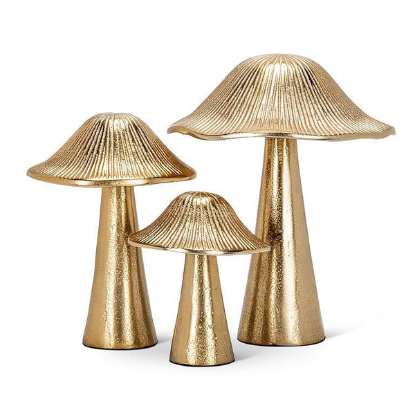 Ribbed Mushroom