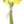 Load image into Gallery viewer, Ranunculus Bunch
