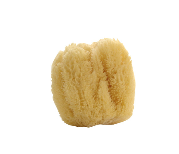 Natural Sea Sponge