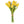 Load image into Gallery viewer, Tulip Bunches
