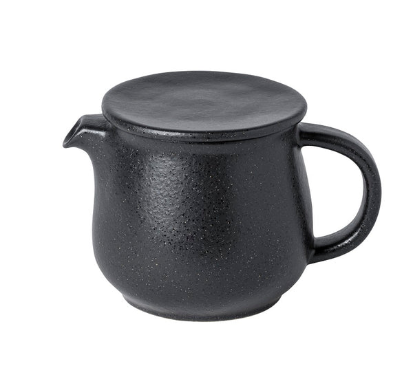 Costa Nova Teapot with Infuser