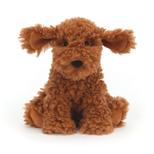 Cooper Doodle Dog